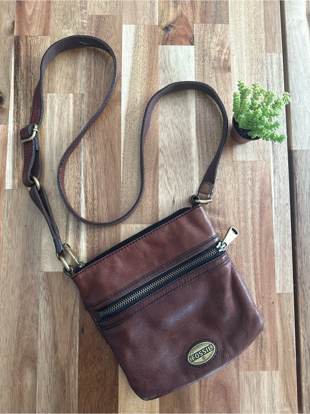 Y2K Fossil Brown Leather Crossbody Bag